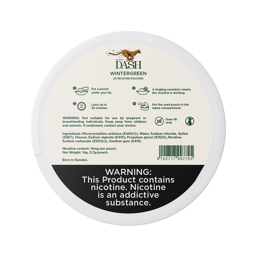 Dash Wintergreen - 14mg