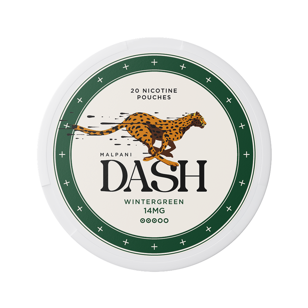 Dash Wintergreen - 14mg
