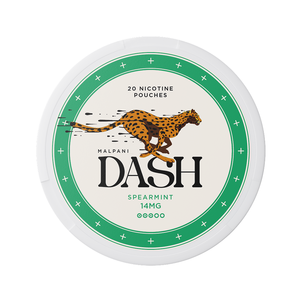 Dash Spearmint - 14mg