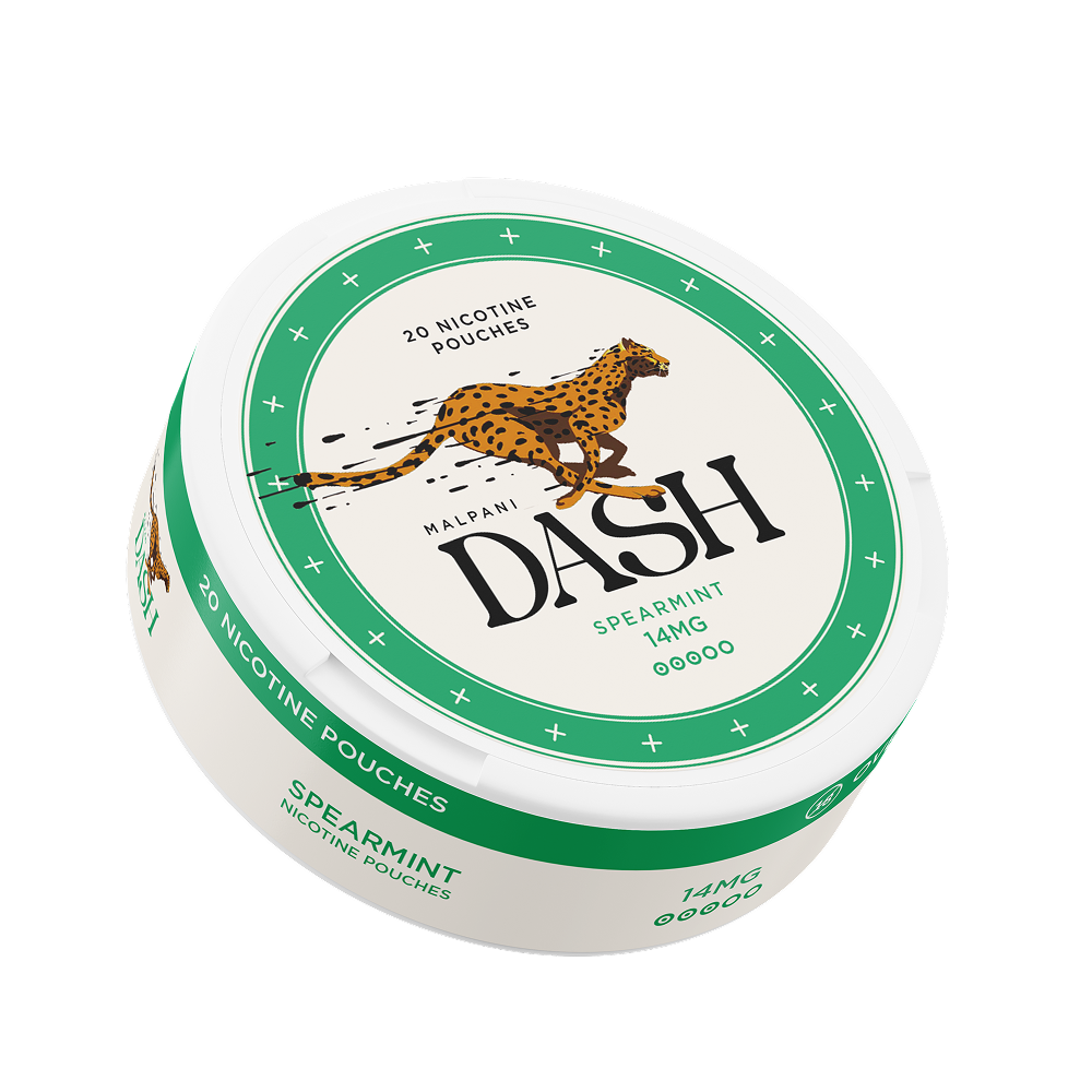 Dash Spearmint - 14mg