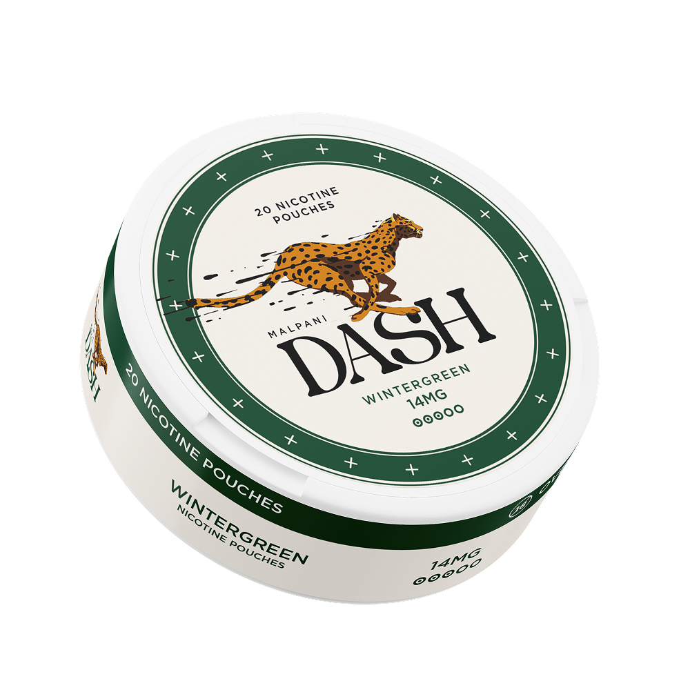 Dash Wintergreen - 14mg