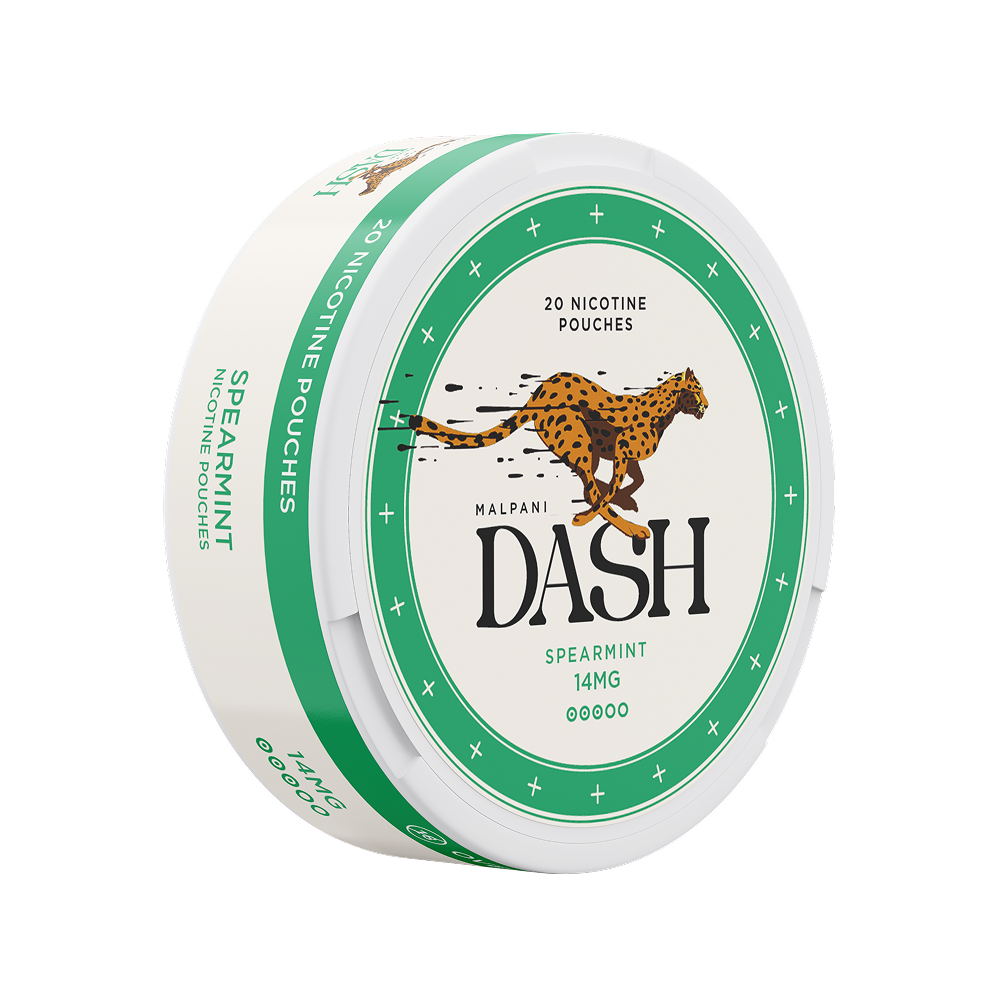 Dash Spearmint - 14mg