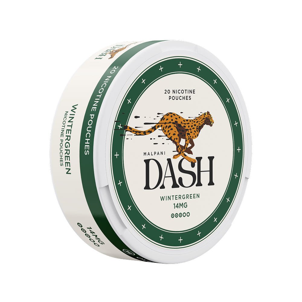 Dash Wintergreen - 14mg